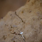 Anillo Destello