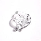 Anillo Interconexión Transparente